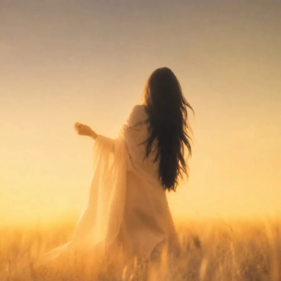 La Vie Est Belle background banner slider